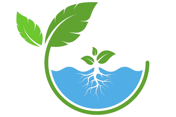 Other Coconut Products